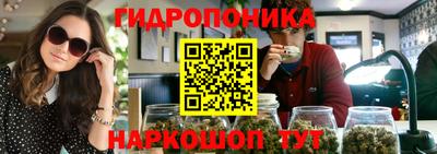 дмт Заволжье
