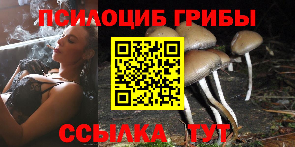 Галлюциногенные грибы Psilocybe Магнитогорск